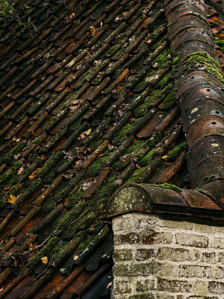Démoussage de toiture par NH Couverture dans le Loiret